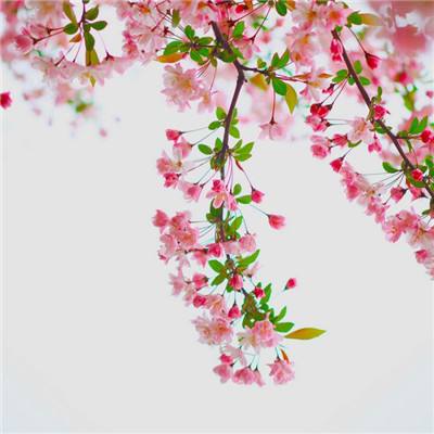 bandao彩票下载截图